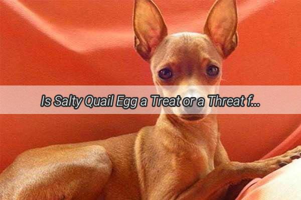 Is Salty Quail Egg a Treat or a Threat for Your Pooch Unveiling the Truth